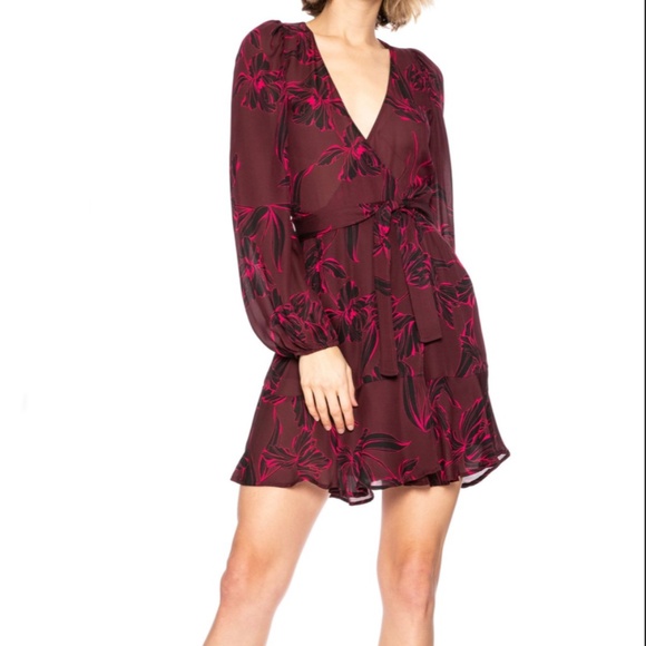 A.L.C. Embry Floral-Print Silk Mini Wrap Dress Size 2 - Picture 1 of 10